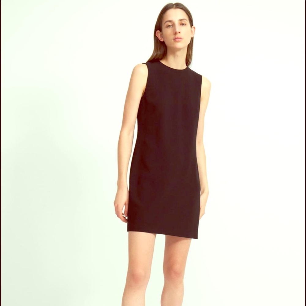 Theory Dress